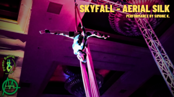 SKYFALL - Aerial Art Performance by Simone K.